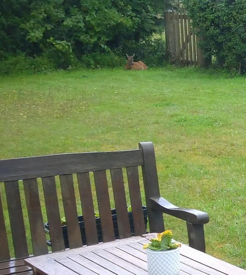 Bed and Breakfast Aquila Retreats Comrie Zewnętrze zdjęcie